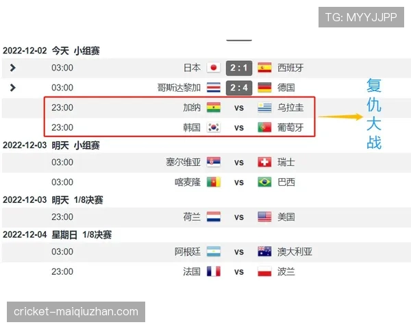 世界杯H组四支球队优劣势分析